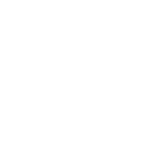 Drehbuchpreis Schleswig-Holstein Logo