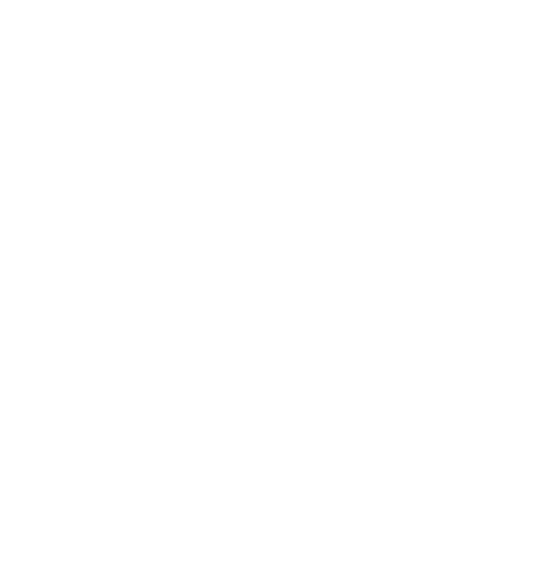 Drehbuchpreis Schleswig-Holstein Logo